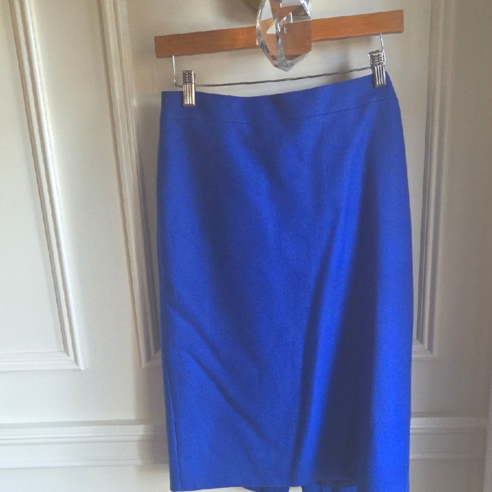 Elegant Blue Women's Skirt